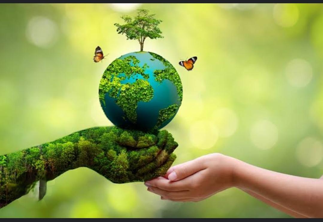 Environmental Education